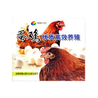 蛋鸡优质高效养殖(VCD)