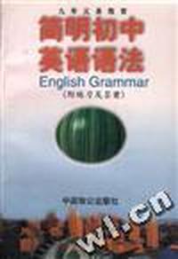简明初中英语语法