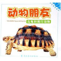 乌龟和爬行动物/宝宝最喜爱的动物朋友(宝宝最喜爱的动物朋友)