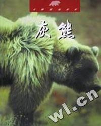 灰熊(未驯服的世界)