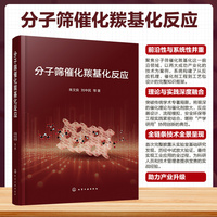 分子筛催化羰基化反应