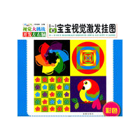 0-3岁-彩色-宝宝视觉激发挂图-视觉大挑战开发左右脑