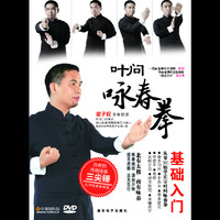叶问咏春拳-基础入门（DVD）