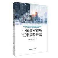 中国资本市场汇率风险研究