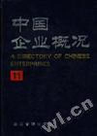 中国企业概况(11)