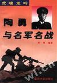 虎啸龙吟--陶勇与名军名战