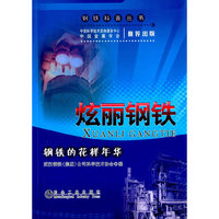 炫丽钢铁