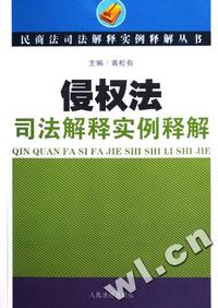 侵权法司法解释实例释解/民商法司法解释实例释解丛书