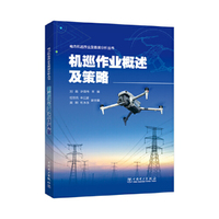 电力机巡作业及数据分析丛书 机巡作业概述及策略