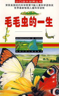 毛毛虫的一生