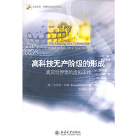 高科技无产阶级的形式-真实世界里的虚拟工作