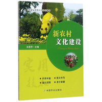 新农村文化建设
