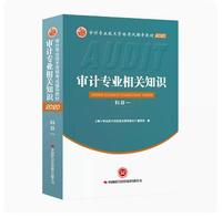 审计专业相关知识  科目一