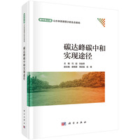 碳达峰碳中和实现途径9787030826466冯起科学出版社