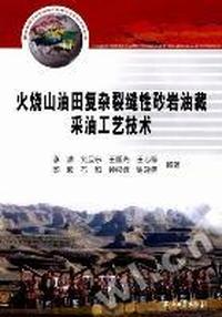 火烧山油田复杂裂缝性砂岩油藏采油工艺技术