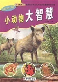 小动物大智慧