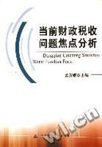 当前财政税收问题焦点分析