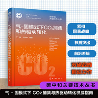 气-固模式下CO2 捕集和热驱动转化