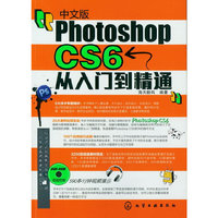 中文版Photoshop CS6从入门到精通-超值附赠DVD光盘