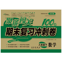聚能闯关100分期末复习冲刺卷八年级下册数学20春北京版