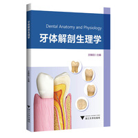 牙体解剖生理学