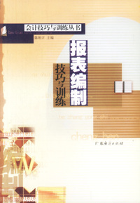 报表编制技巧与训练