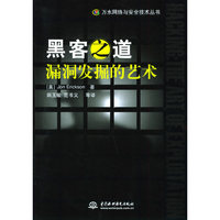 黑客之道漏洞发掘的艺术