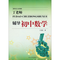 丁老师辅导初中数学