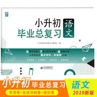 小升初毕业总复习试卷语文卷 小学升初中名校必刷题模拟卷真题试卷总复习资料习题集