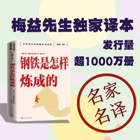 钢铁是怎样炼成的 七年级下册 人民文学出版社 名师教学手帐版