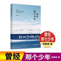 曾经那个少年