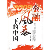 2009 金融风暴下的中国