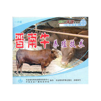 晋南牛养殖技术 一片装(VCD)