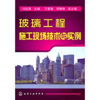 玻璃工程施工现场技术与实例