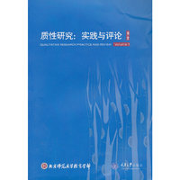 质性研究-实践与评论-第一卷