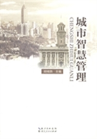 城市智慧管理