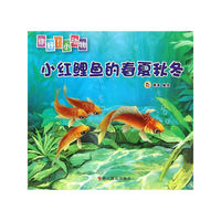 小红鲤鱼的春夏秋冬