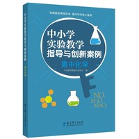 中小学实验教学指导与创新案例：高中化学