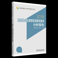 能源与电力分析年度报告系列 2018 国内外企业管理实践典型案例分析报告