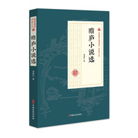 瞻庐小说选（民国通俗小说典藏文库·程瞻庐卷）