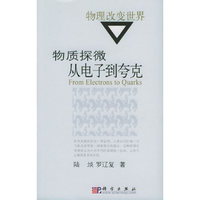 物质探微：从电子到夸克/“物理改变世界”丛书（国家科技进步奖科普精品）