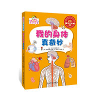 我的身体真奇妙-超好玩的科学故事