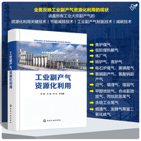 工业副产气资源化利用