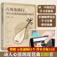 古风也流行：动人心弦的琵琶曲100首