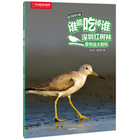 深圳红树林食物链大揭秘（谁能吃掉谁·中国特辑）