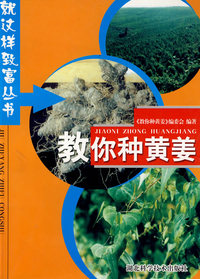 教你种黄姜