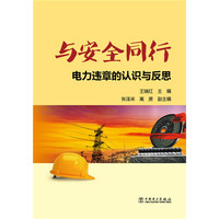 与安全同行——电力违章的认识与反思
