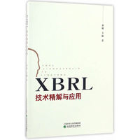 XBRL技术精解与应用