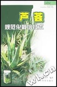 芦荟规范化栽培技术