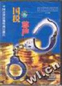 国税尊严(VCD)(2碟装)